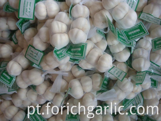 Pure White Garlic